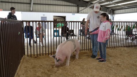 BAHS FFA hosts Unified Champions Pig Show at Vanguard Academy